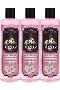 ILGAZ Elit 400ml 3'lü 60° Japon Kirazı Kolonyası