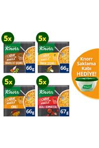 Knorr Lezzetli Çabuk Noodle Paketi 20 Adet