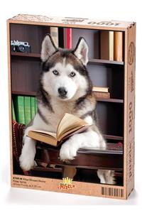 King Of Puzzle Kitap Okuyan Husky Ahşap Puzzle 1000 Parça