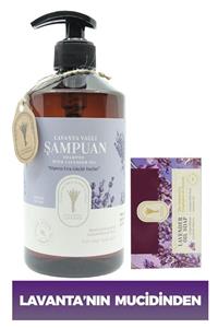 Dr. Lavender Lavanta Yağlı Tuzsuz Parabensiz Bitkisel Şampuan 500 Ml + %100 Bitkisel Lavanta Sabunu