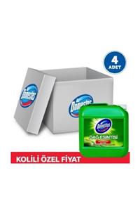 Domestos Çamaşır Suyu Dağ Esintis & Çam Ferahlığı i 3.5 Lt 4 Adet