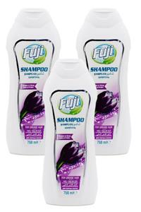 FUJI 3'lü Yağlı Saçlar Için Şampuan 750 Ml Hacimli Ve Parlak Gösteren Şampuan Sönük Saçlara Arındırıcı