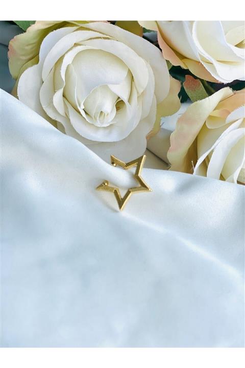 Entrendi Cansus Kadın Altın Rengi Yıldız Kıkırdak Küpe