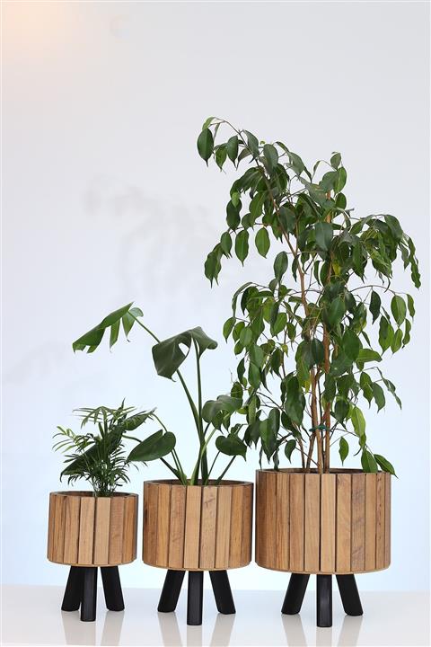 Hakan Mobilya Çam Rengi Ahşap 3'lü Yuvarlak Saksı Standı Seti Dekoratif Çiçeklik Balkon Bahçe Ahşap Saksılık