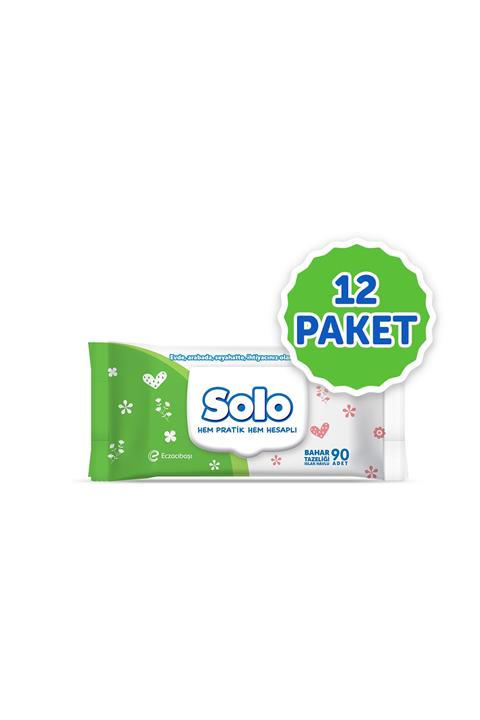 Solo Islak Havlu Kapaklı - 90 Yaprak x 12'li Set