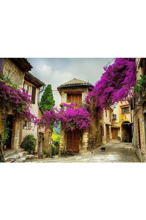 Puzzle Store Mor Sümbül Sokağı 1000 Parça