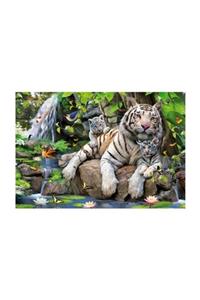 EDUCA Puzzle Bengal White Tigers (1000 Parça)