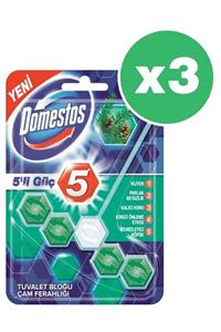 Domestos Wc Blok 5'li Güç Çam Ferahlığı 55 Gr X 3 Adet