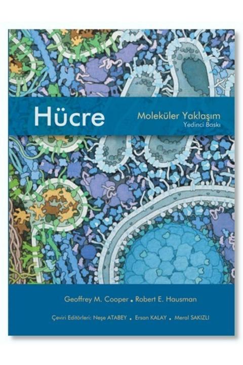 PROMETE Hücre Moleküler Yaklaşım 7. Baskı Ciltsiz Kağıt Kapak