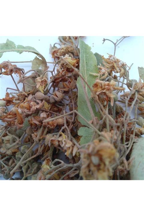 Shopiolog Ihlamur Çiçek