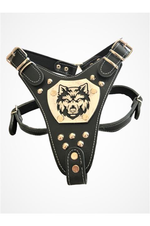 PACOPET Gladyatör Kurt Desenli Ayarlanabilir Büyük Irk Köpek Tasması Siyah