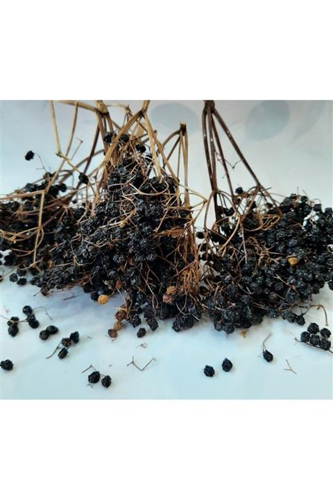 Cıngı Baharat Kurukahve Karamürver Meyve Kurusu ( Sambucus Nigra )
