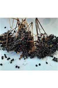 Cıngı Baharat Kurukahve Karamürver Meyve Kurusu ( Sambucus Nigra )