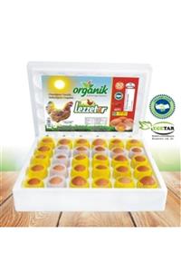 LEZZETOR 60 Lı Orta Boy (53-62 Gr) Organik Yumurta