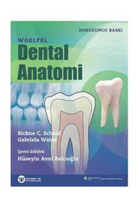 Güneş Tıp Kitabevi Woelfel Dental Anatomi