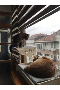 ATA HOME Büyük Boy Ahşap Cama Yapışan Kedi Yatağı Vantuzlu