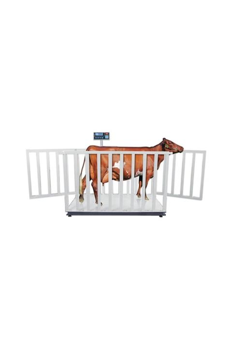 TEM Büyük Baş Canlı Hayvan Baskülü