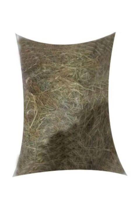 SevdePet Çayır Otu Kemirgen Otu 4 Adet 500 Gr