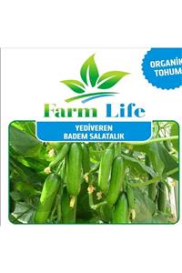 FarmLife Tohum 30 Adet Yediveren Badem Salatalık Tohumu