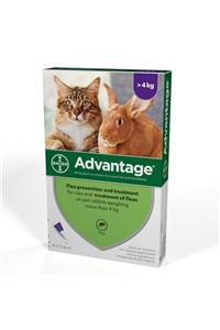 Bayer Advantage | Kediler Için (4-8 Kg 4x 0.8 Ml) X4 Pipet