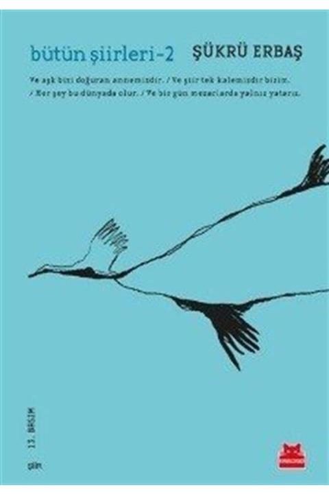 Kırmızı Kedi Yayınevi Bütün Şiirleri 2