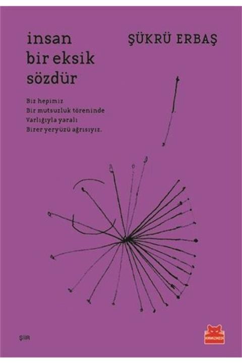 Kırmızı Kedi Insan Bir Eksik Sözdür