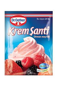 Dr. Oetker Dr.Oetker Krem Şanti Orman Meyveli 75 G