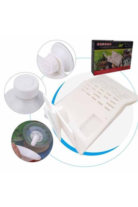 HİLALSHOP Pets Plastik Kaplumbağa Platformu Medium