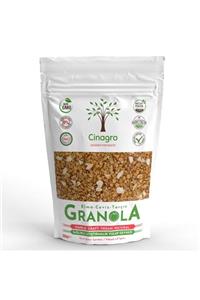 Cinagro Goodies Granola Elma Ceviz Tarçın