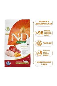 N&D Pumpkin Tahılsız Bıldırcın Etli Balkabaklı ve Narlı Kısırlaştırılmış Kedi Maması - 1.5 kg