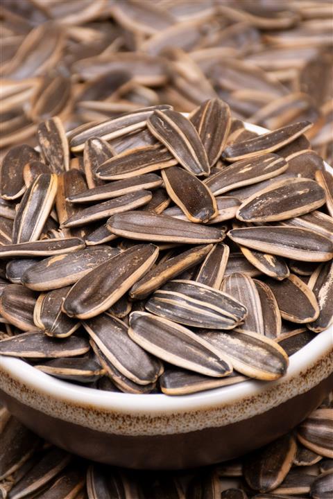Kurtuluş Kuruyemiş Tuzsuz Kavrulmuş Siyah Çekirdek 500gr.