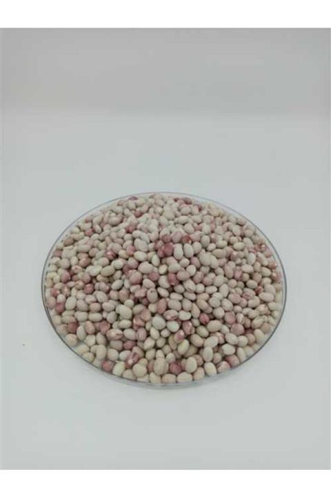 EFORLTD Hakiki Ispir Fasulyesi Yeni Sezon 1 Kg