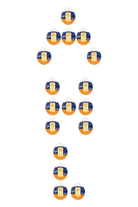 Ahlatcı 24 Ayar- 17 Adet 0,5 Gram Külçe Altın