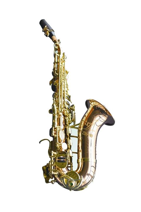 Cs Music Zeff France Alto Saksafon