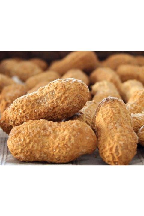 Emsal Yeni Hasat Kabuklu Tuzlu Kavrulmuş Osmaniye Yer Fıstığı 1000 G