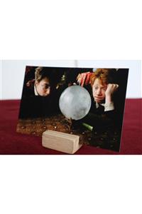 Karınca Piercing Hermione Granger Ron Weasley Harry Potter Hogwarts Film 2li Poster Özel Tasarım Kartpostal Seti