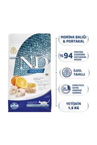 N&D Low Ocean Morina Balıklı ve Portakallı Yetişkin Kedi Maması - 1,5 kg