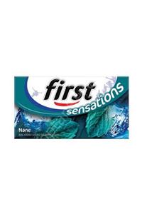 First Sensations Nane  Aromalı Sakız 12 Adet