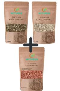 NATURUS Chia + Kinoa + Keten Tohumu Fırsat Paketi 250 G