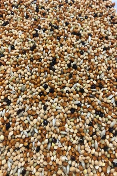 HOBİ Karışık Muhabbet Kuşu Yemi 5 Kg Yeni Mahsul