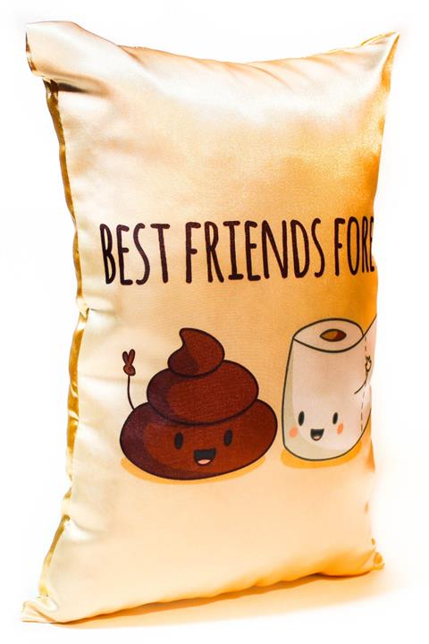 The Wolke Best Friends Forever Desenli Dekoratif Mood Yastık