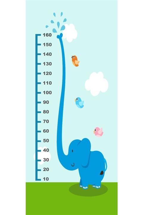 BAŞYAPI DİZAYN Filli Boy Cetveli Çocuk-bebek Odası Duvar Kumaşı