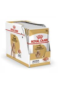 Royal Canin Poodle Yetişkin Pouch Yaş Köpek Maması 12 X 85 G