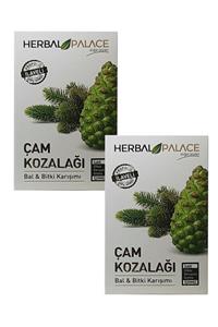 Herbal Palace Çam Kozalağı Bal Bitki Karışımı 240 gr 2 Adet