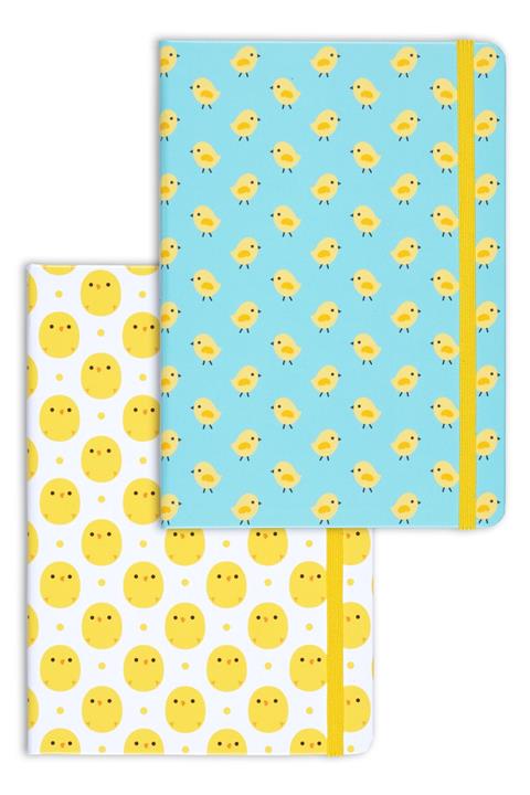 Matt Notebook A5 2'li Defter Seti 15x21 Cm Noktalı Civciv