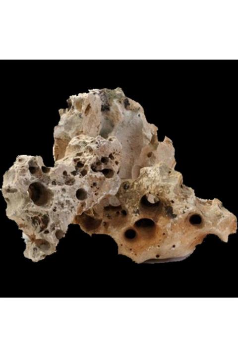 Trend02 Akvaryum Falez Taşı Tamamen Doğal Dekoratif Kaya 1 Adet