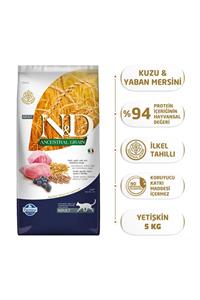 N&D Düşük Tahilli Kuzu Etli Ve Yaban Mersinli Yetişkin Kedi Maması 5 kg