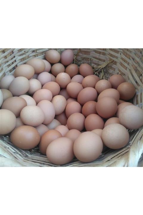 doğalım köy ürünleri Köy Yumurtası