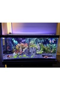 Aqualed Full Spectrum 70 cm 4 Renk Akvaryum Aydnlatma Krom Kasa