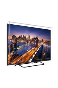 BESTOCLASS Elmas Panel Regal 49r6012f Tv Ekran Koruyucu